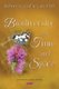 Biodiversity in Time and Space (Hardcover): Roberto Cazzolla Gatti