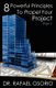 8 Powerful Principles to Propel Your Project (Paperback): Rafael Osorio