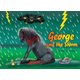 George And The Storm - Gorgeous George: Book 4 (Paperback): Claire Tucker