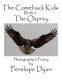 The Comeback Kids, Book 6, The Osprey (Paperback): Penelope Dyan
