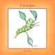 Cecropia (Paperback): Mary Parks