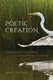 Poetic Creation - Language and the Unsayable in the Late Poetry of Robert Penn Warren (Hardcover): John C. Van Dyke