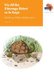 Via Afrika Xitsonga Home Language Grade 2 Big Book 3 - Home language (Tsonga, Paperback): R. Ntsan'wisi
