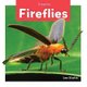 Insects: Fireflies (Paperback): Leo Statts
