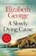 A Slowly Dying Cause (Paperback): Elizabeth George