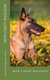 mon chiot malinois (French, Paperback): Francois Kiesgen De Richter