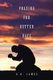 Praying for Better Days (Paperback): G Q James