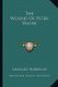 The Wound of Peter Wayne (Paperback): Leonard Wibberley