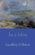 In a Mist (Paperback): Geoffrey G O'Brien