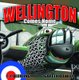 Wellington Comes Home (Paperback): F.J. Beerling