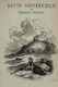 David Copperfield (Paperback): Taylor Anderson, Charles Dickens