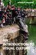 Introduction To Visual Culture (Paperback, 3rd edition): Nicholas Mirzoeff