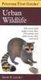 Peterson First Guide to Urban Wildlife (Paperback): Sarah Landry