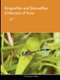 Dragonflies and Damselflies (Odonata) of Texas, Vol 3 (Paperback): John Abbott