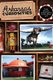 Arkansas Curiosities - Quirky Characters, Roadside Oddities & Other Offbeat Stuff (Paperback): Janie Jones, Wyatt Jones