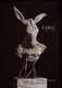 Zaric: Body-To-Body (Hardcover): Nikola Zaric