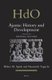 Ajanta: History and Development, Volume 6 Defining Features (Hardcover): Walter Spink