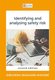 Identifying and analysing safety risk 2e (Paperback, 2nd): Dibuseng Maduane-Makobe