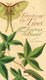 Teaching the Trees - Lessons from the Forest (Paperback, New Ed): Joan Maloof