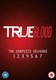 True Blood: Seasons 1-7 (DVD): Sam Trammell, Chris Bauer, Carrie Preston, Stephen Moyer, Rutina Wesley, Deborah Ann Woll,...