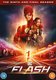 The Flash - Season 9 - The Final Season (DVD): Grant Gustin