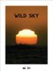 Wild Sky (Paperback): Eva Diaz