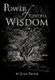 Power of Plentiful Wisdom (Hardcover): Julia Shpak