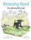 Rescuing Reed: The Little Dog Who Could (Hardcover): Heidi Mottin