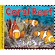 Coral Reef (Hardcover): Roger Priddy