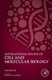 International Review of Cell and Molecular Biology, Volume 354 (Hardcover): Lorenzo Galluzzi