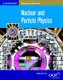 Nuclear and Particle Physics (Paperback): Bryan Milner