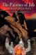 The Patience of Job - A Religious Play in Three Acts (Paperback): Norman Morrison