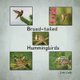 Broad-tailed Hummingbirds (Paperback): Lois Lake