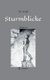 Sturmblicke (German, Hardcover): Thomas Wolf