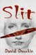 Slit (Paperback): David Dvorkin