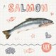 Salmon (Hardcover): Holly Duhig