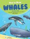 How to Draw Whales Step-by-Step Guide - Best Whale Drawing Book for You and Your Kids (Paperback): Andy Hopper