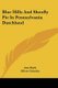 Blue Hills and Shoofly Pie in Pennsylvania Dutchland (Paperback): Ann Hark