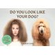Do You Look Like Your Dog? - Match Dogs with Their Humans: A Memory Game (Game): Gerrard Gethings