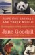 Hope for Animals and Their World - How Endangered Species Are Being Rescued from the Brink (Paperback, Trade): Jane Goodall