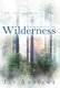 Wanderings in the Wilderness - The Journey Back to Eden (Hardcover): Jay Andrews