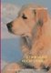 Ist Ihr Hund hochsensibel? - Erkennen, verstehen und leben mit hochsensiblen Hunden (German, Paperback): Bela F. Wolf