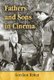 Fathers and Sons in Cinema (Paperback): Gershon Reiter
