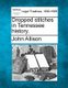 Dropped Stitches in Tennessee History. (Paperback): John Allison