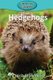 Hedgehogs (Paperback): Victoria Blakemore