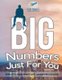Big Numbers Just For You Sudoku Large Print (200+ Awesome Puzzles) (Large print, Paperback, Large type / large print edition):...