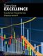 Customer Experience Measurement (Paperback): Professor Mohamed Zairi