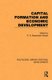 Capital Formation and Economic Development - Studies in the Economic Development of India (Paperback): P N Rosenstein-Rodan