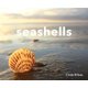 Seashells (Hardcover): Cindy Bilbao