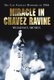 Miracle in Chavez Ravine - The Los Angeles Dodgers in 1988 (Paperback): William F McNeil